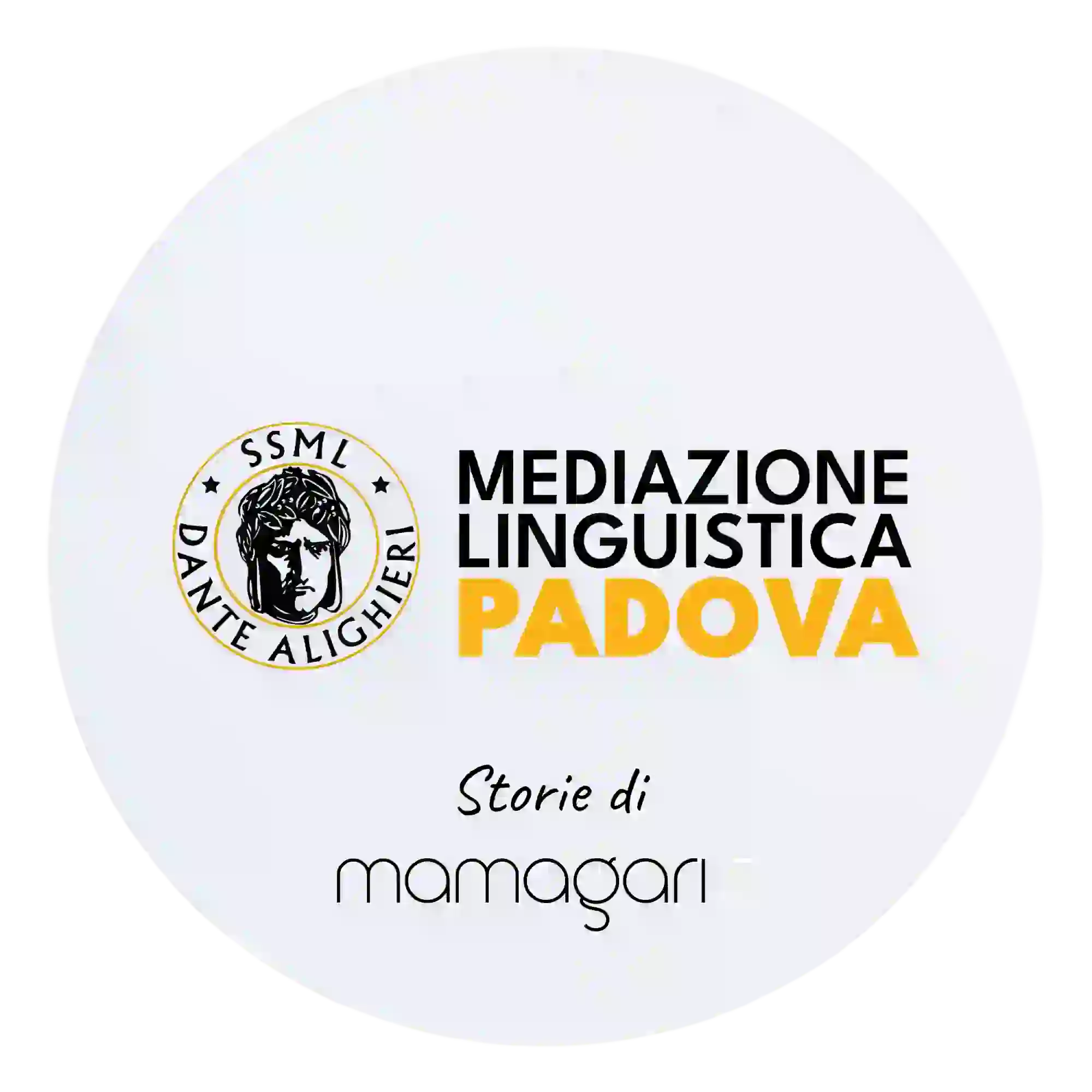 Mediazione linguistica padova Agenzia di web marketing italia seo google ads social e website